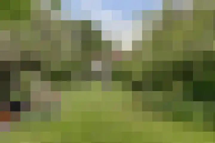 Kapellestraat 23 Veere thumbnail 35