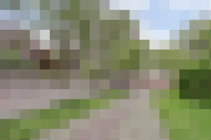 Kapellestraat 23 Veere thumbnail 36
