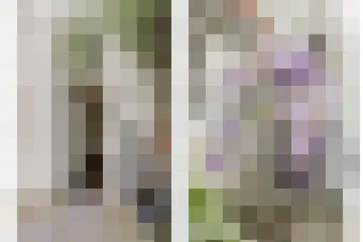 Kapellestraat 23 Veere thumbnail 38