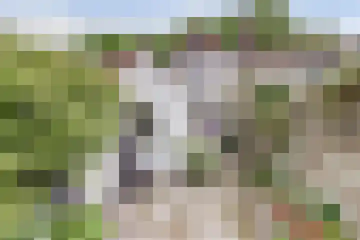 Kapellestraat 23 Veere thumbnail 4