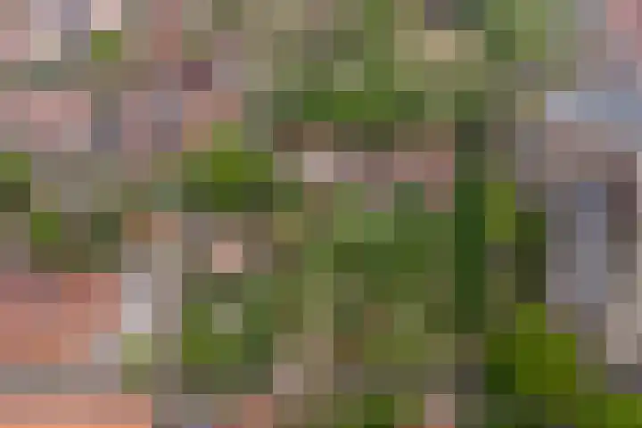 Kapellestraat 23 Veere thumbnail 47