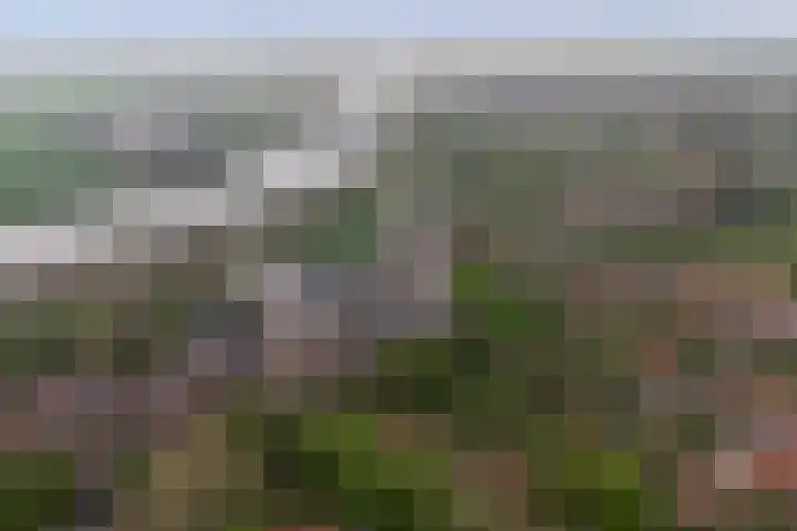 Kapellestraat 23 Veere thumbnail 48