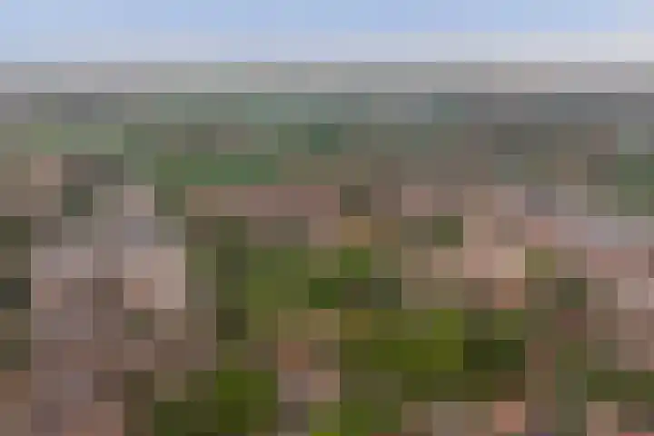 Kapellestraat 23 Veere thumbnail 49