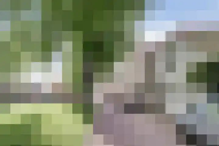 Kapellestraat 23 Veere thumbnail 5