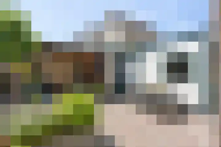 Kapellestraat 42 Oudewater thumbnail 14