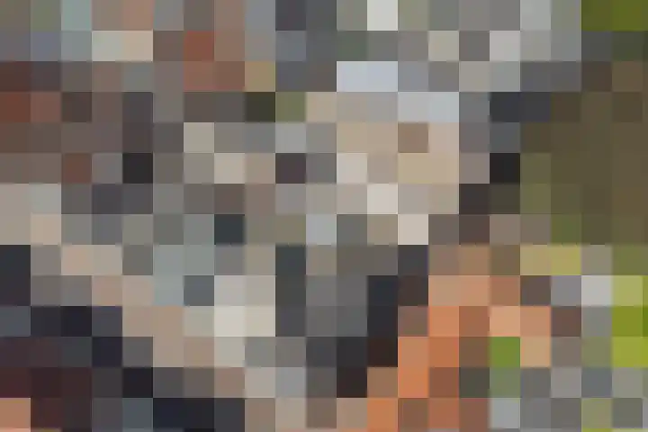 Kapellestraat 45 IJsselstein thumbnail 20