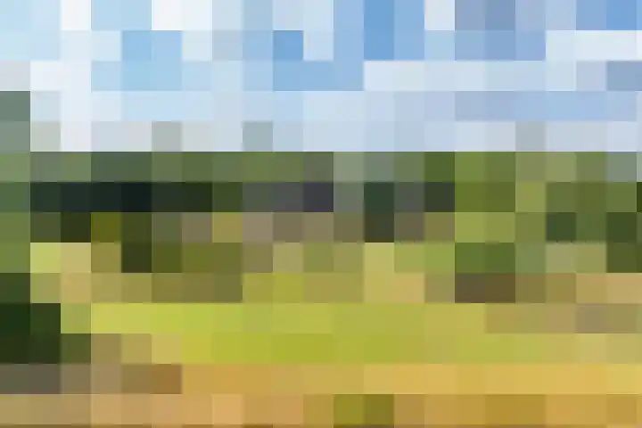 Kapelleweg 29 Scharendijke thumbnail 103