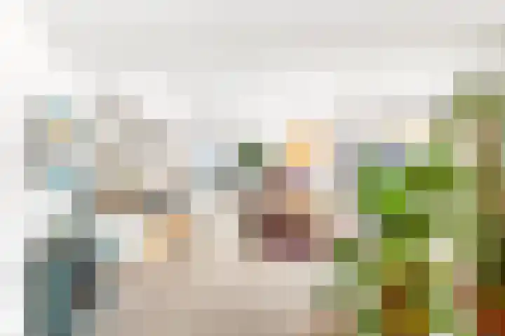 Kapelleweg 29 Scharendijke thumbnail 13