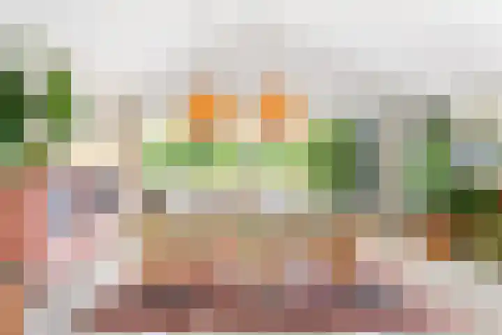 Kapelleweg 29 Scharendijke thumbnail 16