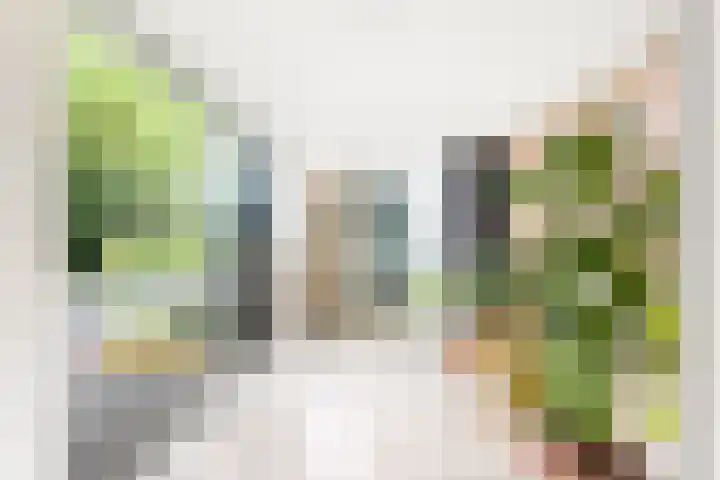 Kapelleweg 29 Scharendijke thumbnail 18