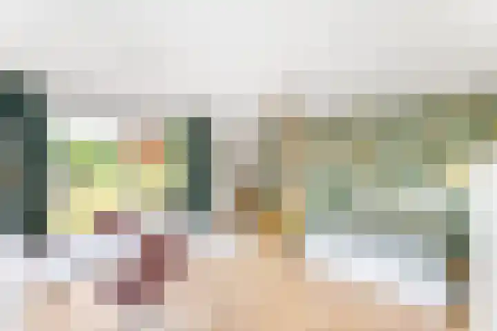 Kapelleweg 29 Scharendijke thumbnail 21