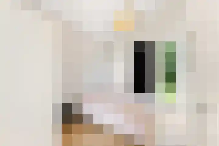 Kapelleweg 29 Scharendijke thumbnail 26