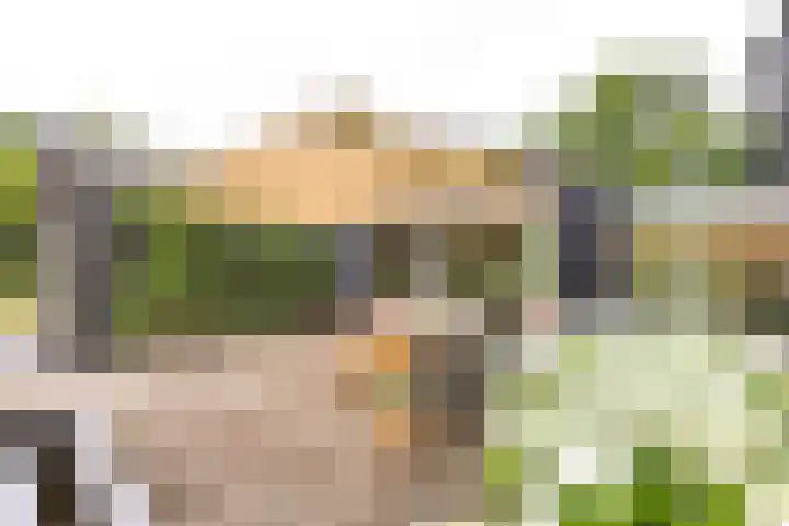 Kapelleweg 29 Scharendijke thumbnail 28