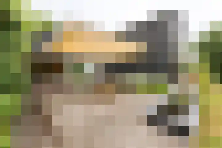 Kapelleweg 29 Scharendijke thumbnail 29