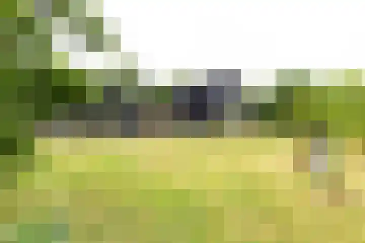 Kapelleweg 29 Scharendijke thumbnail 31