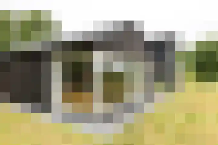 Kapelleweg 29 Scharendijke thumbnail 32