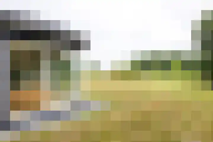 Kapelleweg 29 Scharendijke thumbnail 33