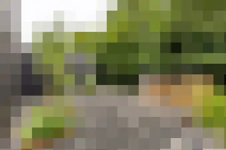 Kapelleweg 29 Scharendijke thumbnail 34
