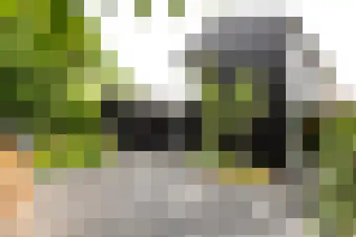 Kapelleweg 29 Scharendijke thumbnail 35