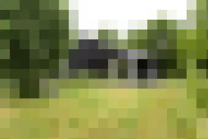 Kapelleweg 29 Scharendijke thumbnail 37