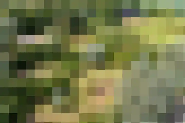 Kapelleweg 29 Scharendijke thumbnail 4