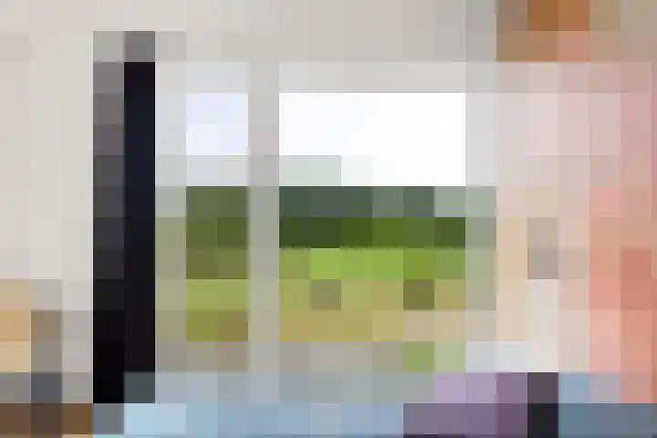 Kapelleweg 29 Scharendijke thumbnail 40