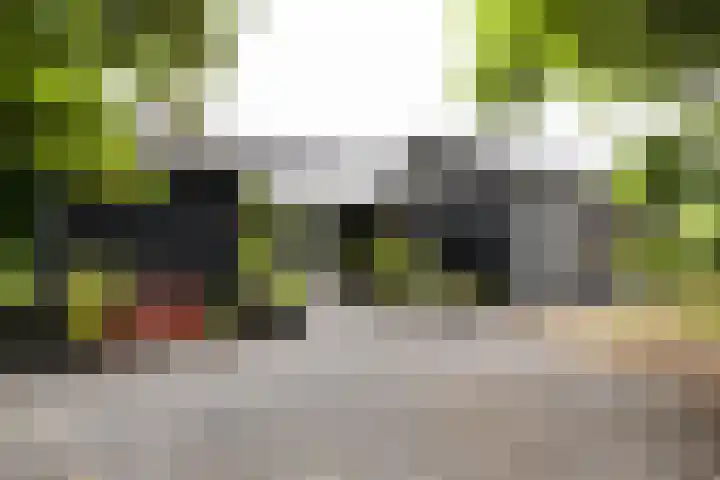 Kapelleweg 29 Scharendijke thumbnail 45