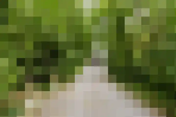 Kapelleweg 29 Scharendijke thumbnail 46