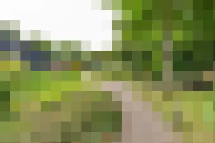 Kapelleweg 29 Scharendijke thumbnail 48