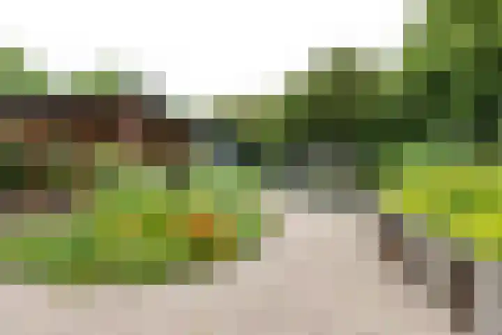 Kapelleweg 29 Scharendijke thumbnail 50