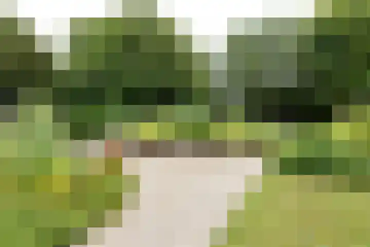 Kapelleweg 29 Scharendijke thumbnail 51
