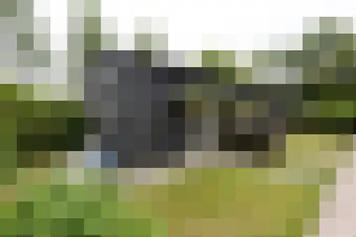 Kapelleweg 29 Scharendijke thumbnail 52