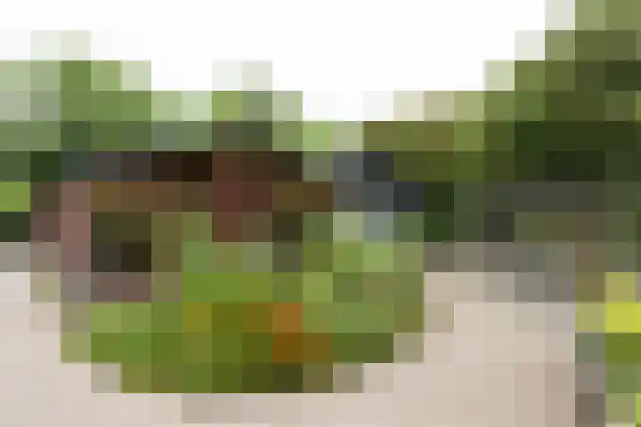 Kapelleweg 29 Scharendijke thumbnail 53