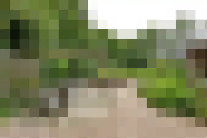 Kapelleweg 29 Scharendijke thumbnail 55