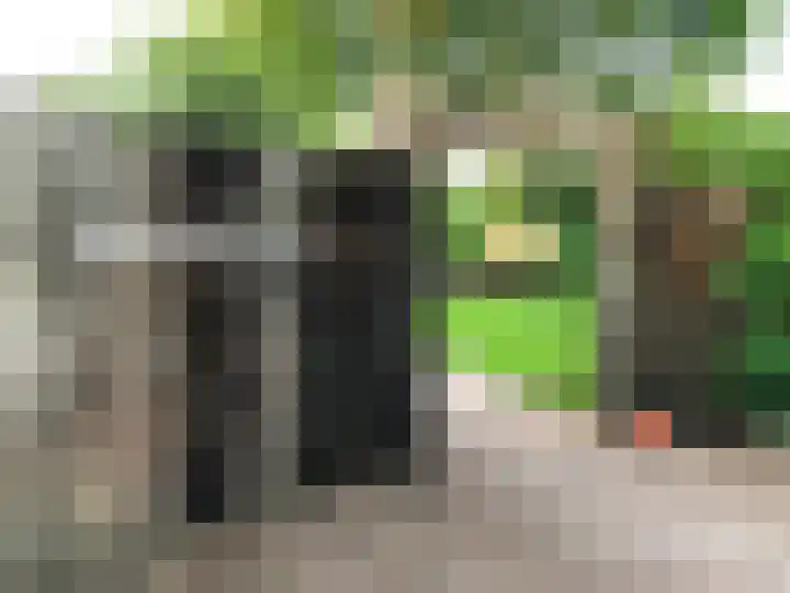 Kapelleweg 29 Scharendijke thumbnail 6