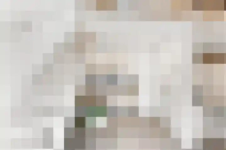 Kapelleweg 29 Scharendijke thumbnail 68
