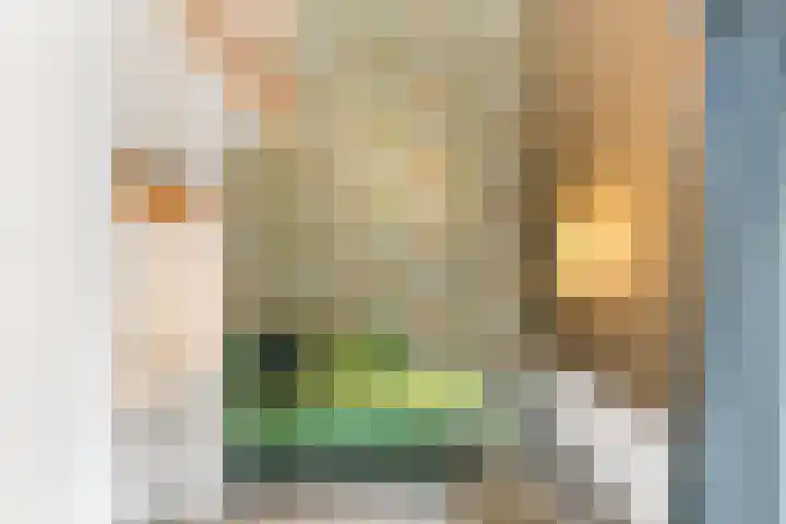 Kapelleweg 29 Scharendijke thumbnail 69