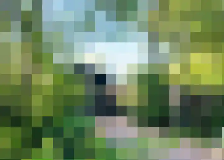 Kapelleweg 29 Scharendijke thumbnail 7