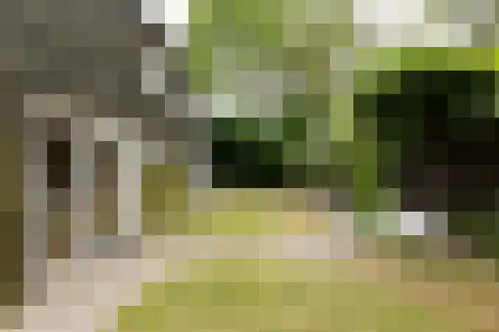 Kapelleweg 29 Scharendijke thumbnail 70