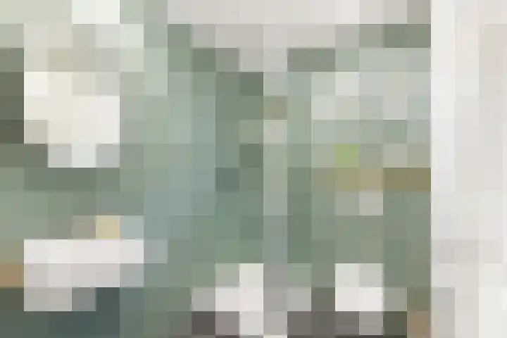 Kapelleweg 29 Scharendijke thumbnail 71