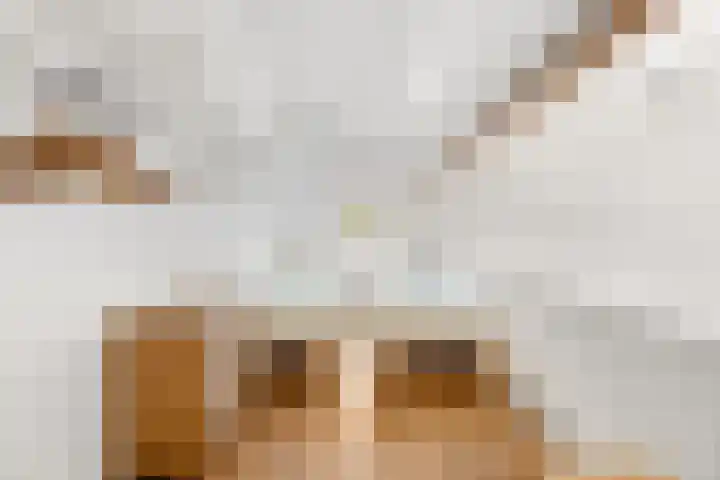Kapelleweg 29 Scharendijke thumbnail 72
