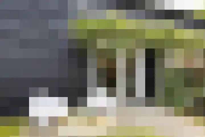 Kapelleweg 29 Scharendijke thumbnail 74