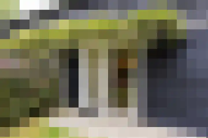 Kapelleweg 29 Scharendijke thumbnail 78