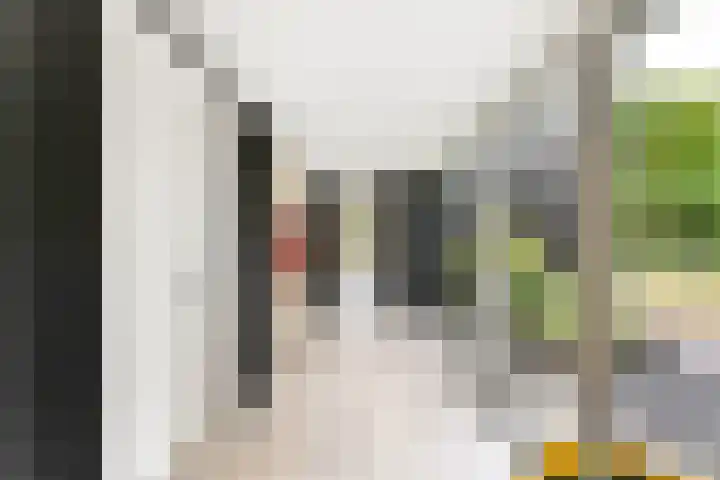 Kapelleweg 29 Scharendijke thumbnail 8