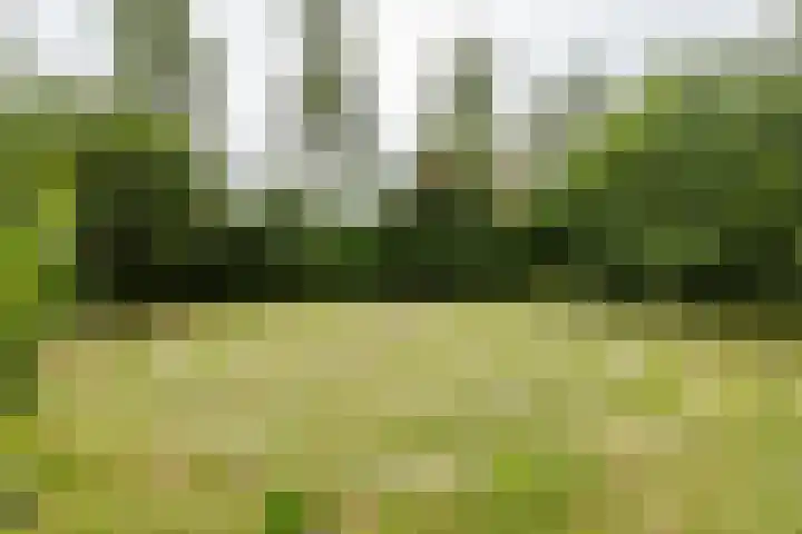 Kapelleweg 29 Scharendijke thumbnail 87