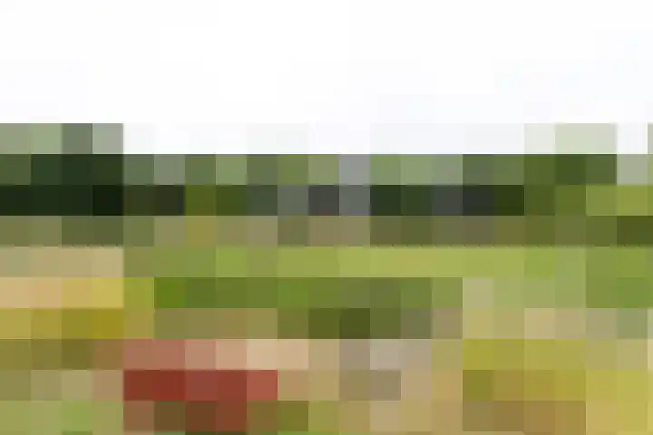 Kapelleweg 29 Scharendijke thumbnail 89
