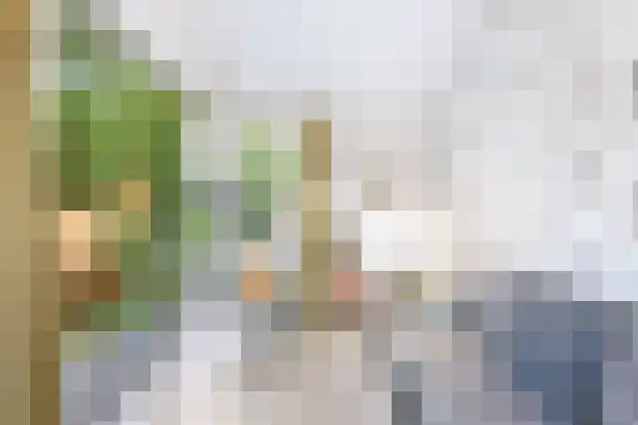 Kapelleweg 29 Scharendijke thumbnail 9