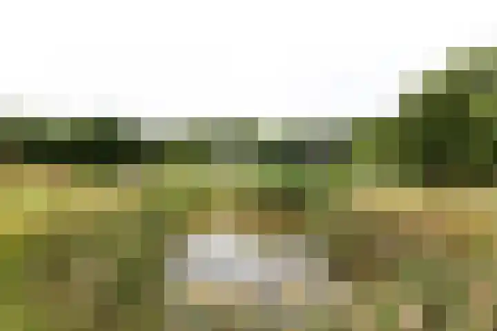 Kapelleweg 29 Scharendijke thumbnail 90