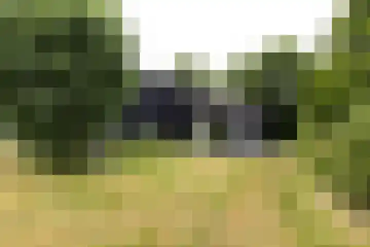 Kapelleweg 29 Scharendijke thumbnail 91