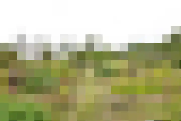 Kapelleweg 29 Scharendijke thumbnail 92